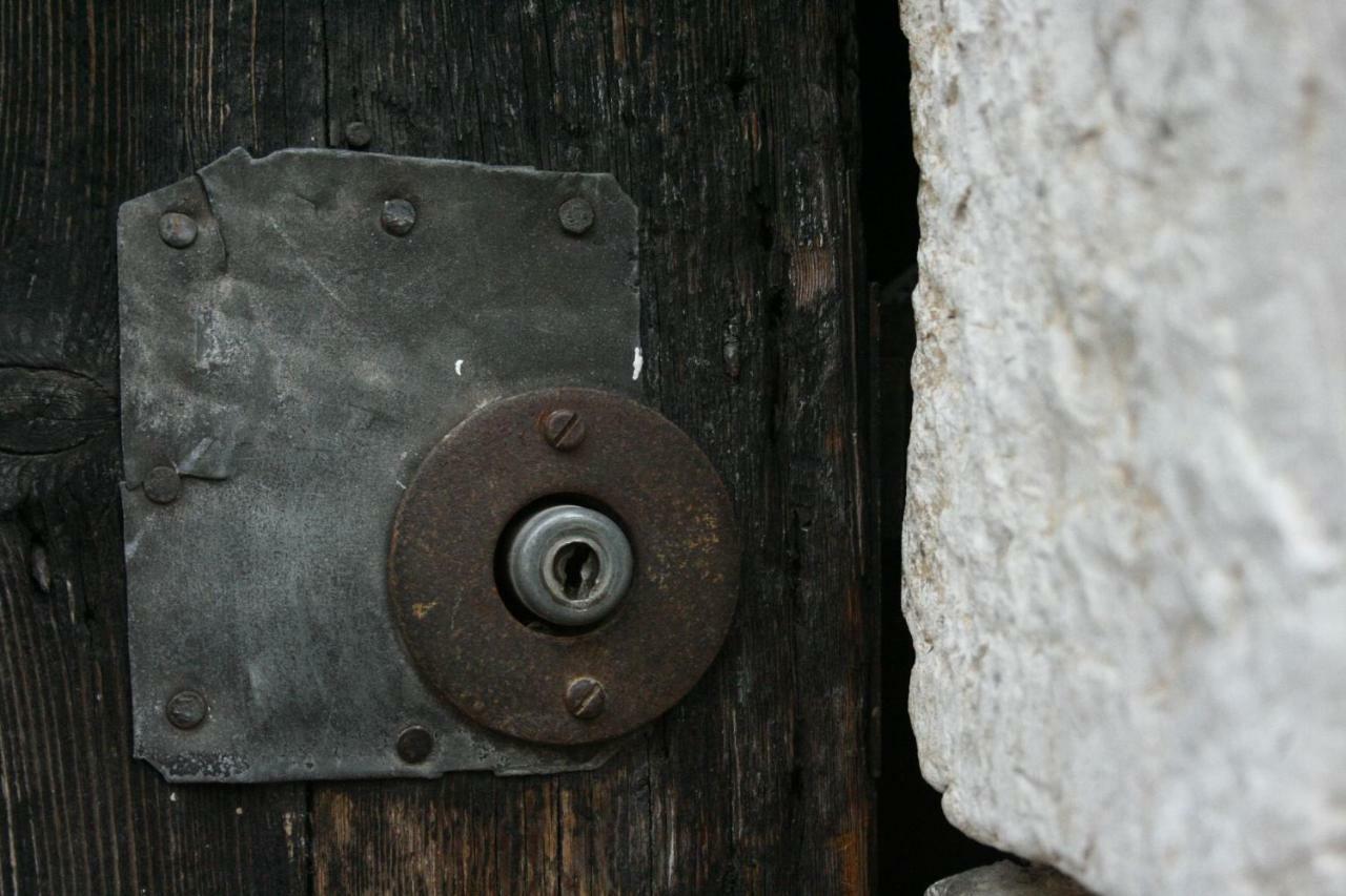 La Maison Aux Bonsais Saint-Paul-de-Vence Exteriér fotografie