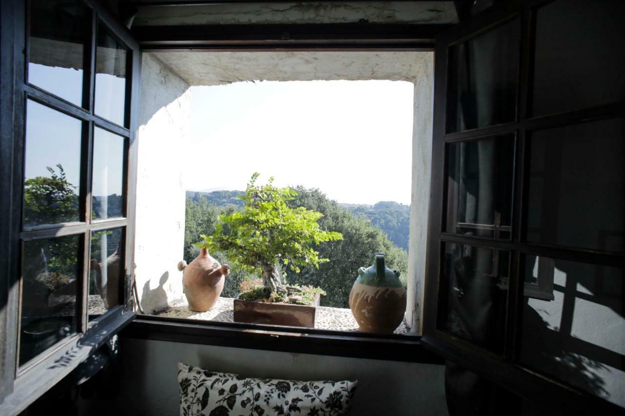 La Maison Aux Bonsais Saint-Paul-de-Vence Exteriér fotografie